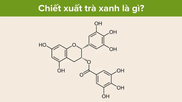 alt: Công thức phân tử của Epigallocatechin Gallate (EGCG), một loại catechin có trong trà xanh