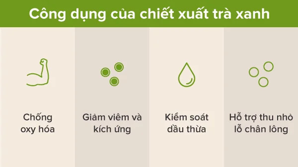 alt: Lá trà xanh tươi và chiết xuất trà xanh trong ống nghiệm