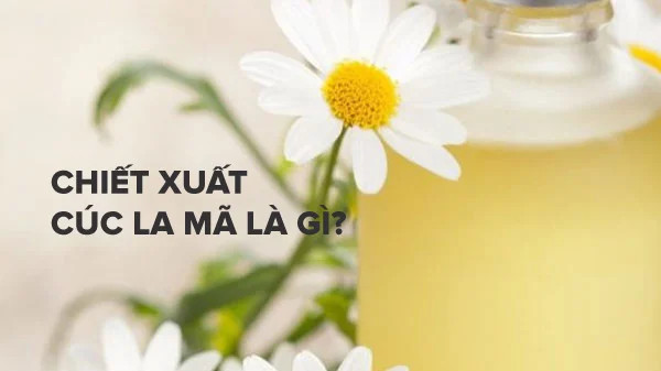 alt text: Chiết xuất cúc La Mã trong lọ thủy tinh nhỏ giọt, thành phần quen thuộc trong mỹ phẩm