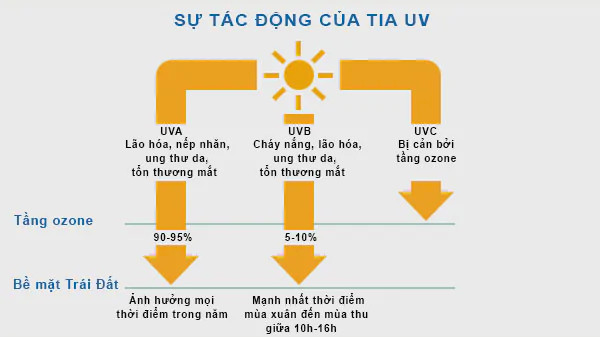 alt text: Hình ảnh minh họa tác hại của tia UVA và UVB lên da, gây ra nếp nhăn, sạm nám và ung thư da.