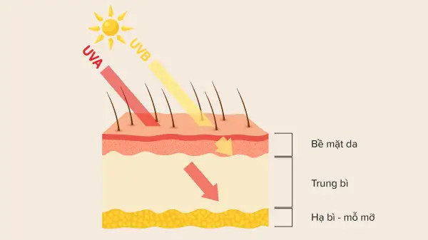 alt text: Khả năng bảo vệ da của kem chống nắng giảm dần theo thời gian