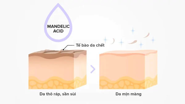 Cách kết hợp Mandelic Acid trong quy trình chăm sóc da