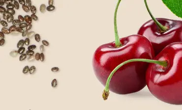 Chiết xuất hạt lanh và Cherry