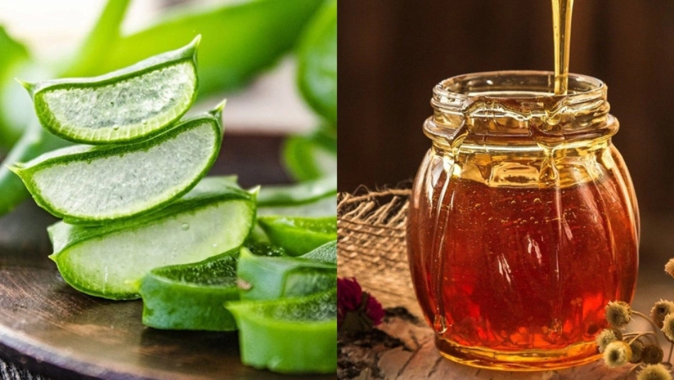 Cách trị nám bằng nha đam và mật ong