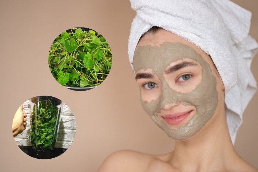 Đắp mặt nạ từ rau má
