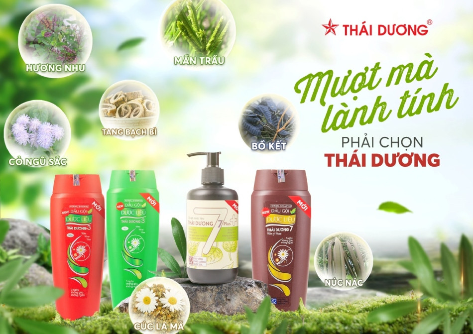 Dầu gội dược liệu Sao Thái Dương hiệu quả cao