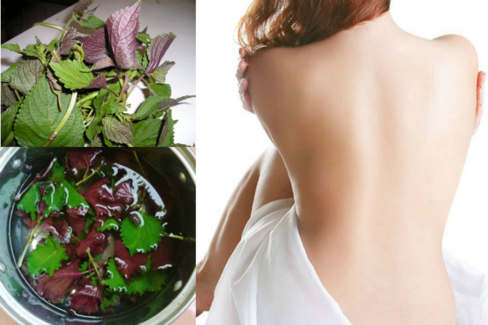 Dưỡng trắng da ở tuổi dậy thì với tía tô