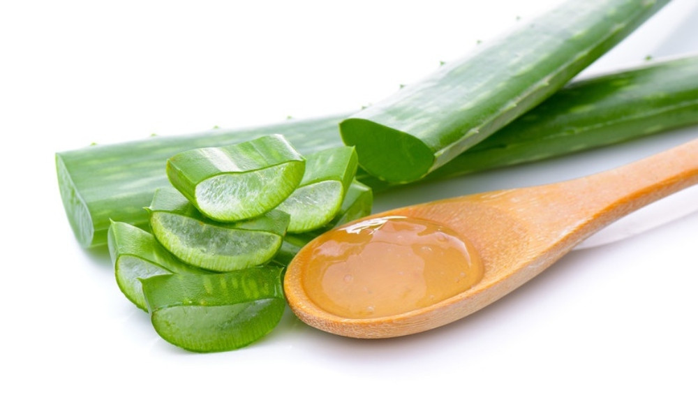Làm trắng da với nước cốt nha đam