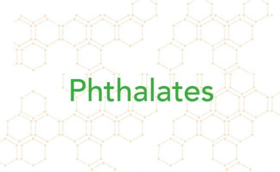 Mỹ phẩm có thành phần Phthalates có thể gây hại cho sức khỏe của thai nhi