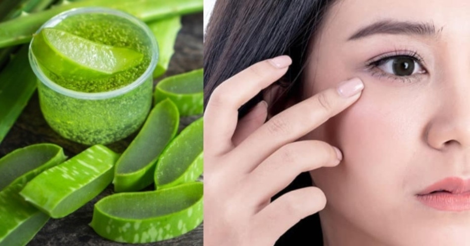 Hướng dẫn 15+ cách làm đẹp từ nha đam an toàn và hiệu quả