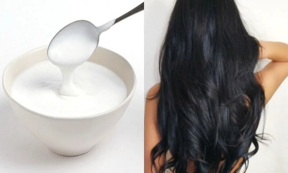 Phục hồi tóc khô xơ cực nhanh bằng sữa chua