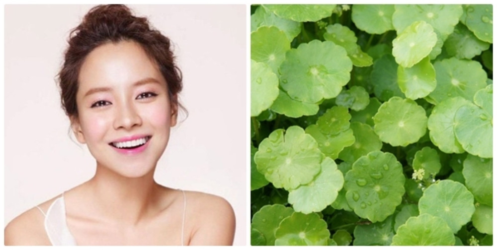 Rau má giúp dưỡng trắng và mờ thâm