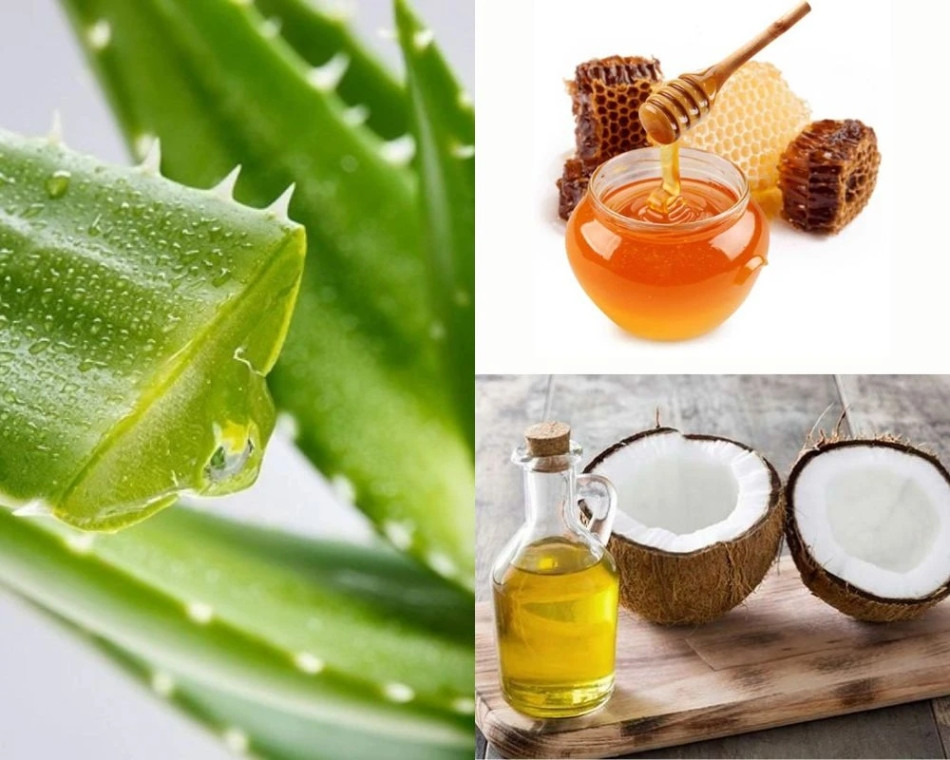 Tẩy tế bào chết bằng nha đam, dầu dừa và mật ong nguyên chất