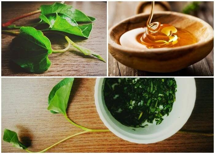 Công thức mật nạ trắng da từ rau diếp cá