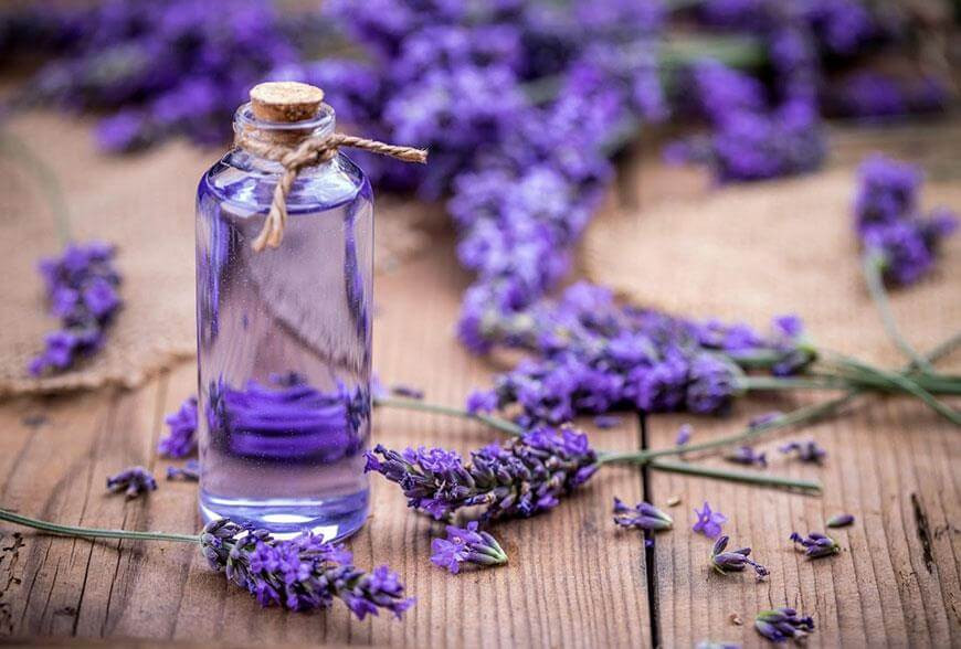 Điều trị mụn với tinh dầu oải hương