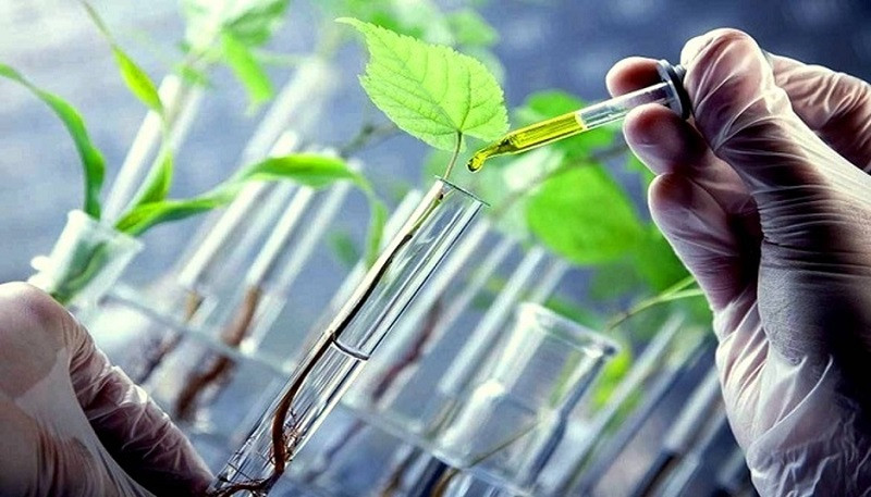 Tế bào gốc trị mụn: Giải pháp hiệu quả cho làn da