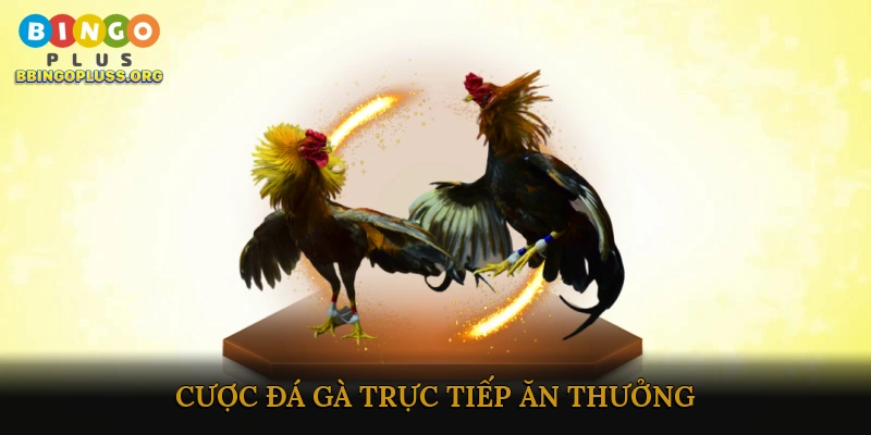 Cược đá gà trực tiếp ăn thưởng