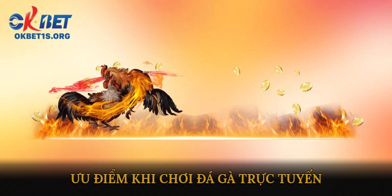 Đá gà mạng trực tuyến uy tín