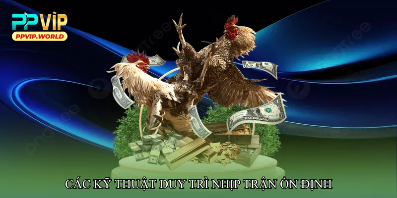 Đá gà nhịp trận ổn định