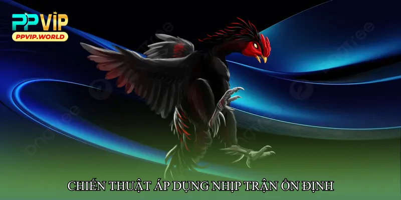 Đá gà nhịp trận ổn định